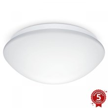 Steinel 056131 - LED badeværelseslampe RS PRO LED P3 LED/19,5W/230V IP54 3000K