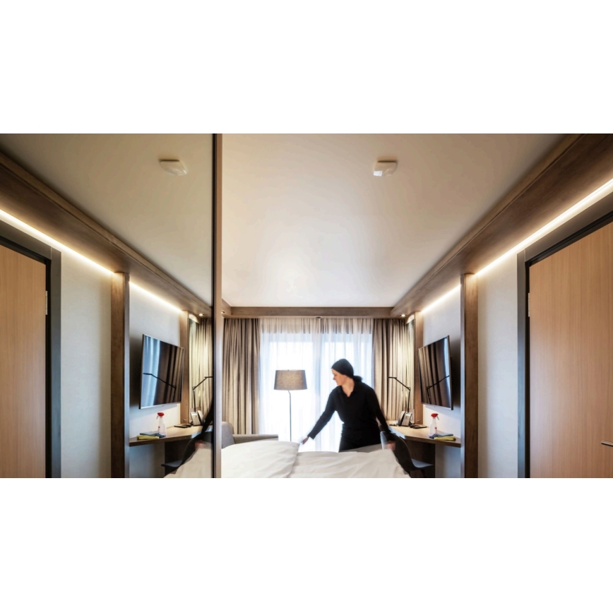 STEINEL 056339 - Bevægelsessensor TRUE PRESENCE KNX