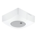 Steinel 057411 - Lyssensor DUAL-E DALI2 kantet hvid