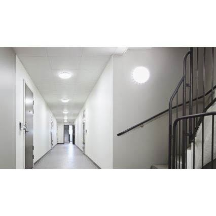 STEINEL 057817 – LED loftlampe med bevægelsessensor LED/15W/230V