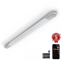 Steinel 058722 - LED Dæmpbar heavy-duty lys RS PRO 5150 C LED/42W/230V IP65