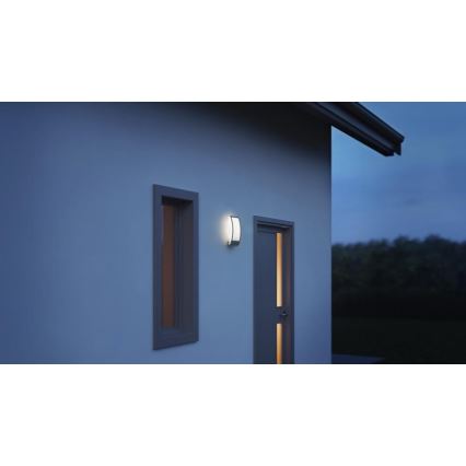 Steinel 069254 - Udendørs væglampe L 22 1xE27/60W/230V IP44 antracit