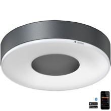 Steinel 078782 - LED loftlampe med sensor RS 200 SC LED/17,1W/230V 3000K IP54