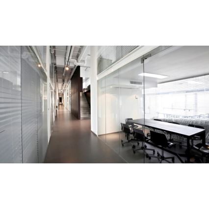 Steinel 079352 - Tilstedeværelsesdetektor IR Quattro 8 m DALI-2 APC hvid