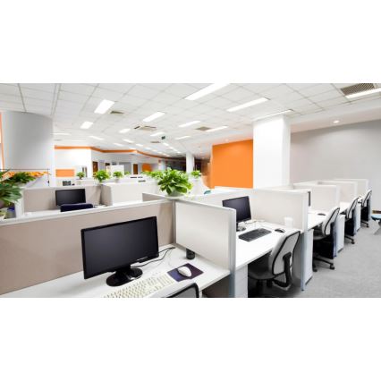 Steinel 079581 - Tilstedeværelsesdetektor DualTech KNX hvid