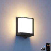 Steinel 085247 - LED Dæmpbar udendørs væglampe med sensor L40SC LED/12,9W/230V