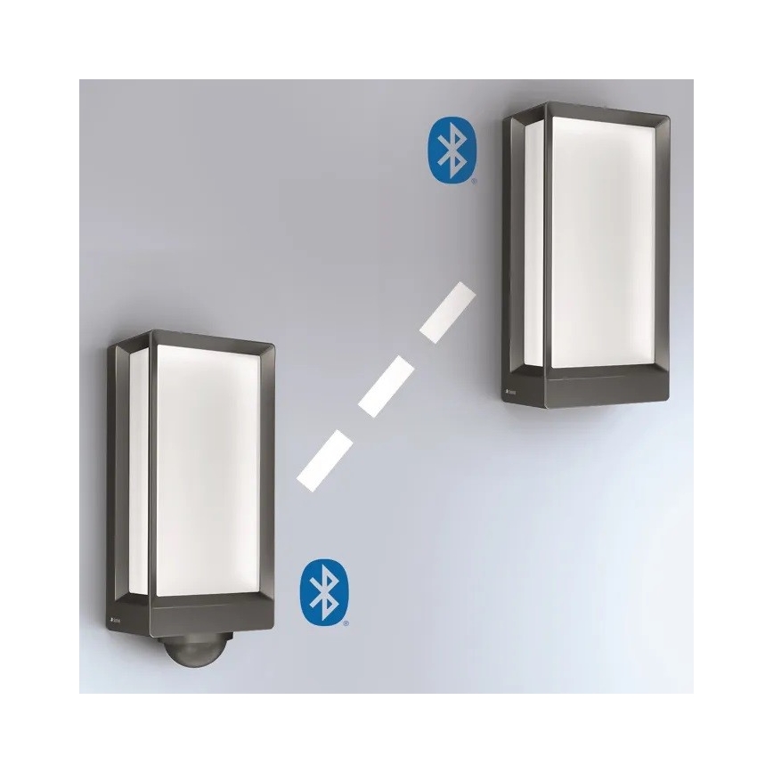 Steinel 085254 - LED Udendørs væglampe dæmpbar L42C LED/12,6W/230V IP54