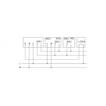 Steinel 088262 - Bevægelsessensor med bevægelsessensor PD-24 ECO DALI-2 360° sort