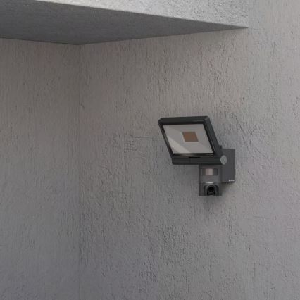 Steinel 092603 - LED-projektør med sensor og kamera LED/21W/230V IP44