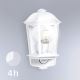 Steinel 644512 - Udendørs væglampe med sensor L 190 S 1xE27/100W/230V IP44