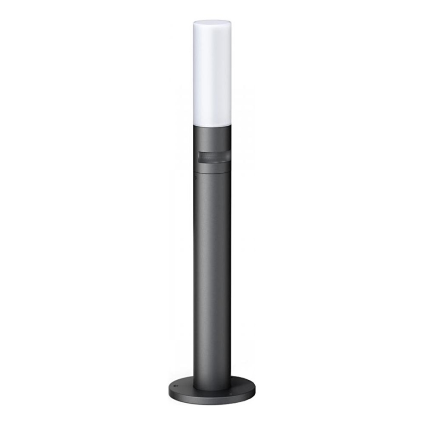 STEINEL 69476 - LED udendørslampe med sensor GL 65 S LED/8,7W/230V IP44 3000K antracit