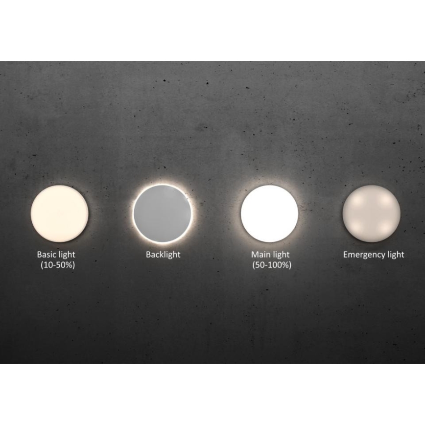 Steinel - LED loftlampe dæmpbar med sensor RSPROR20BASIC 15,3W/230V IP40 4000K