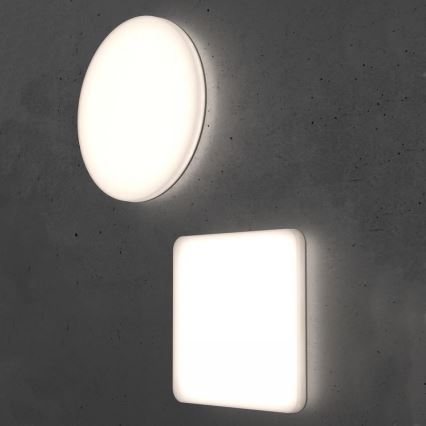 Steinel - LED loftlampe dæmpbar med sensor RSPROR20BASICQ 15,3W/230V IP40 4000K