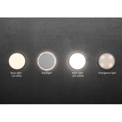 Steinel 067724 - LED loftlampe med sensor dæmpbar RS PRO R20 PLUS 15,86W/230V IP40 4000K