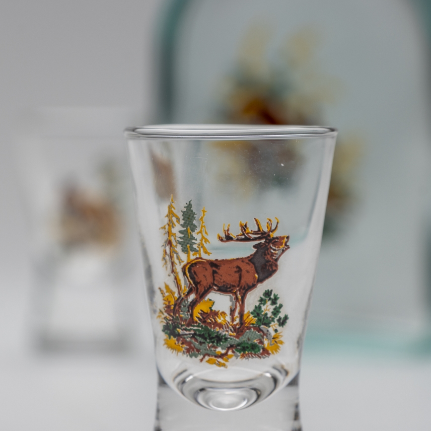Sæt 1x glasflaske og 2x shotglas transparent med haremotiv