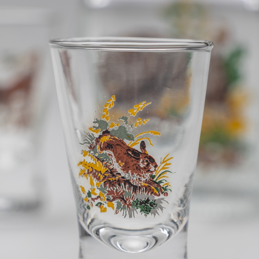 Sæt 1x glasflaske og 2x shotglas transparent med vildsvinemotiv