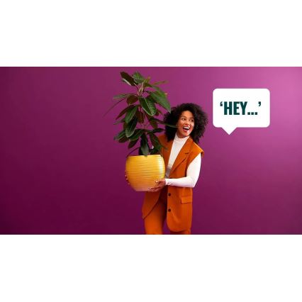 SÆT 2x LED-pære dæmpbar PAR16 GU10/4,7W/230V 2700-6500K CRI 90 Wi-Fi - WiZ