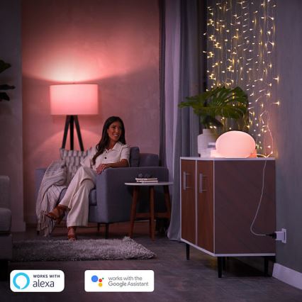 Sæt 2x Philips Hue Smart Plug