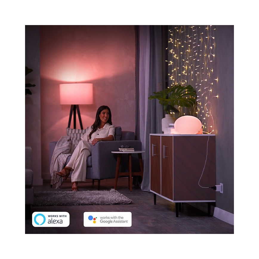Sæt 2x Philips Hue Smart Plug