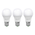 SÆT 3x LED-pære ECOLINE A60 E27/10W/230V 6500K - Brilagi