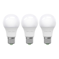 SÆT 3x LED-pære ECOLINE A60 E27/15W/230V 6500K - Brilagi