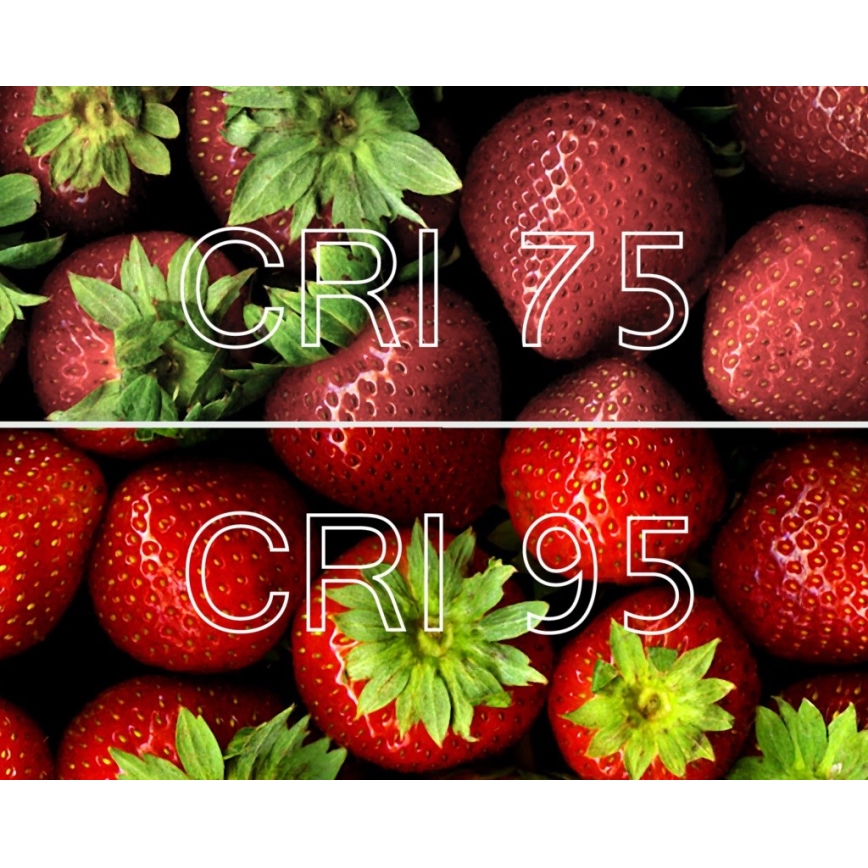 SÆT 4x LED-pære A60 E27/10W/230V 2700K CRI 95 Ra