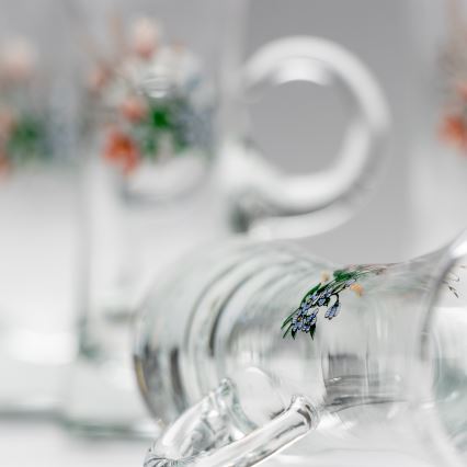 Sæt 6x likørglas med håndtag transparent med buketmotiv no. 3