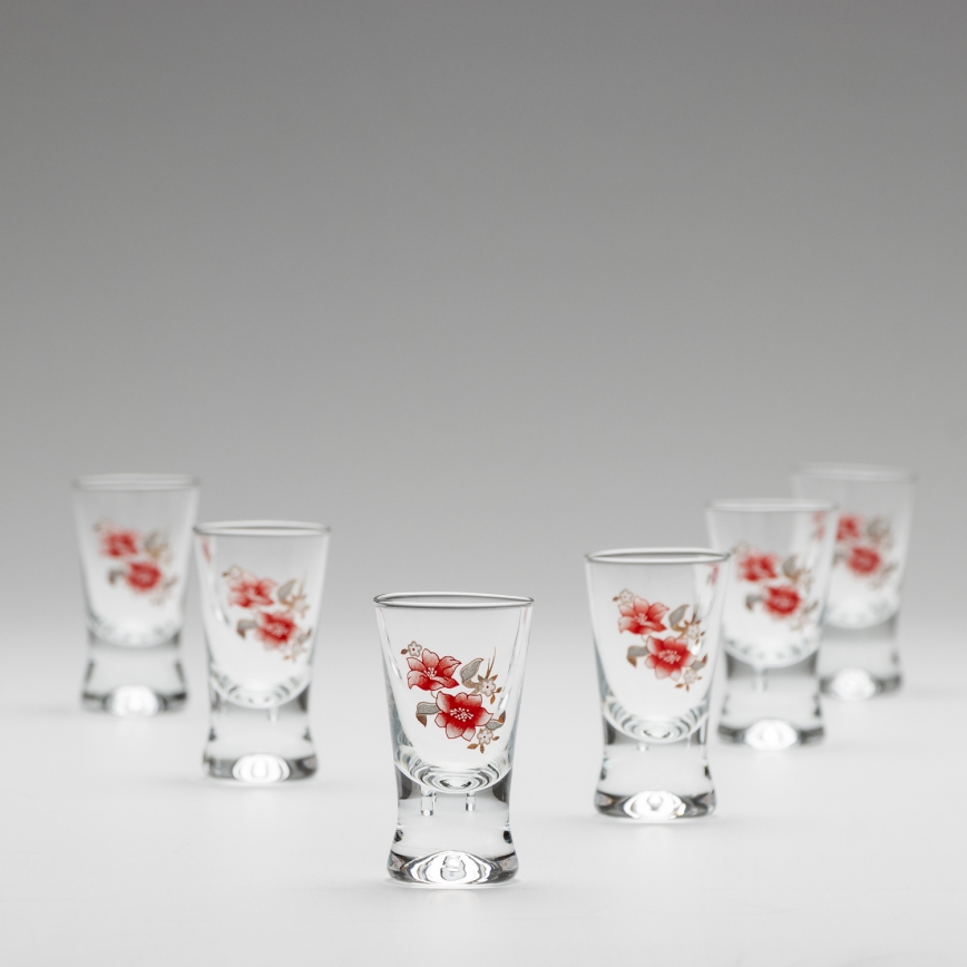 Sæt 6x shotglas transparent med buketmotiv no. 2