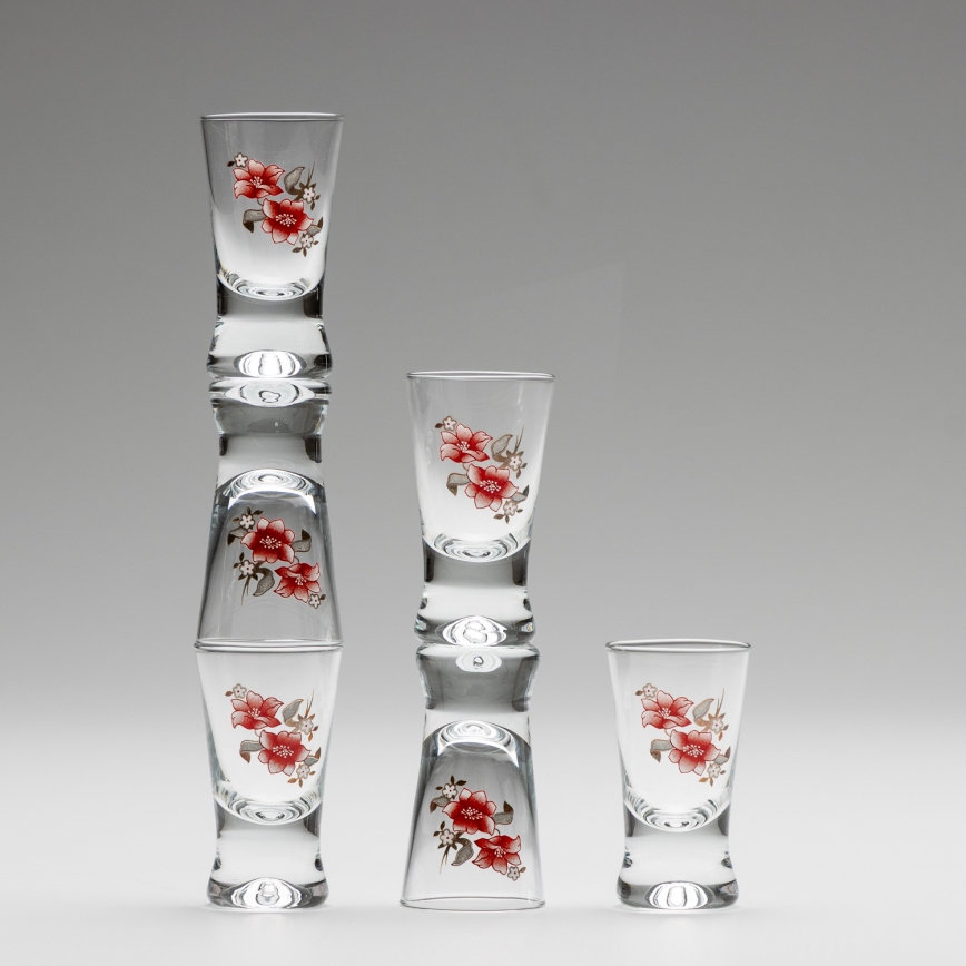 Sæt 6x shotglas transparent med buketmotiv no. 2