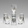 Sæt 6x shotglas transparent med buketmotiv no. 3