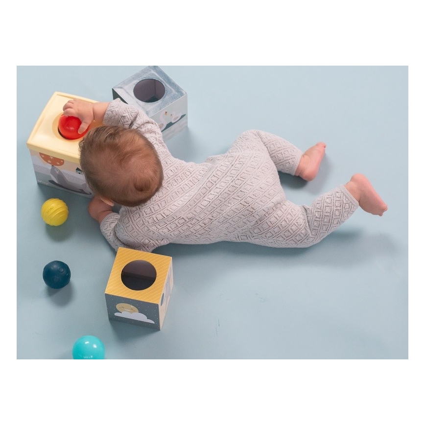 Taf Toys - Aktivitetslegetøj Nordpolen