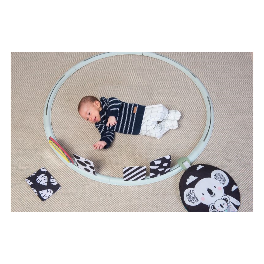 Taf Toys - All Around Me Aktivitetsring diam. 90 cm koalabjørn