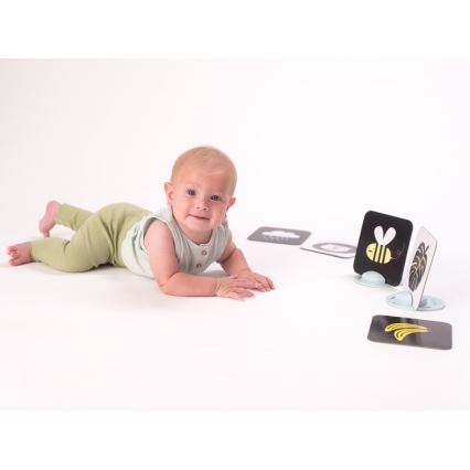 Taf Toys - Tummy time billedkort 18 stk.