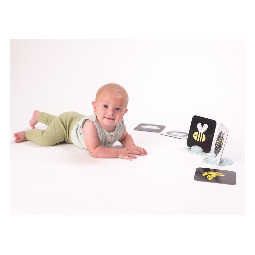 Taf Toys - Tummy time billedkort 18 stk.
