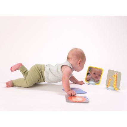 Taf Toys - Tummy time billedkort 18 stk.