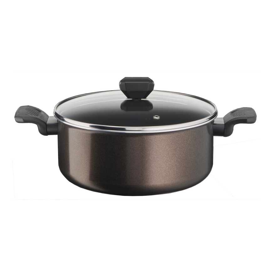 Tefal - Gryde med låg EASY COOK&CLEAN 24 cm