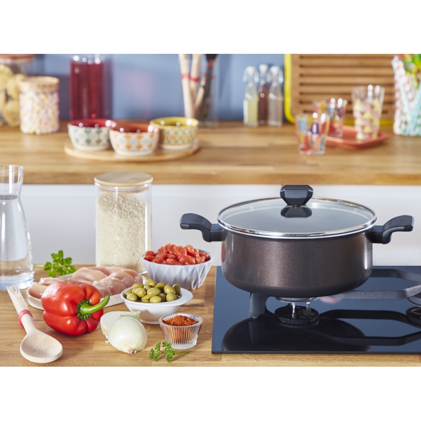 Tefal - Gryde med låg EASY COOK&CLEAN 24 cm