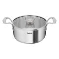 Tefal - Gryde med låg EXTREME 20 cm