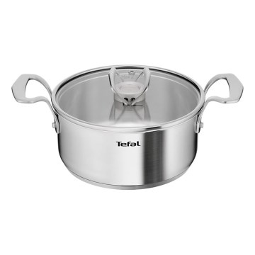 Tefal - Gryde med låg EXTREME 20 cm