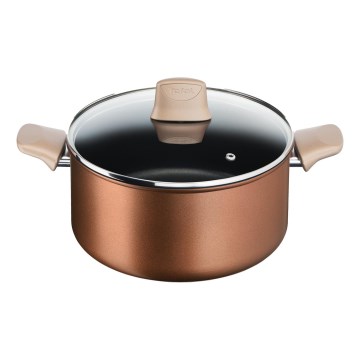 Tefal - Gryde med låg RESPECT Ø 24 cm