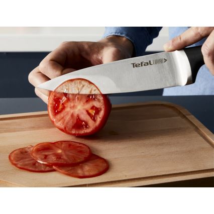 Tefal - ICE FORCE knivsæt med blok, 4 stk.