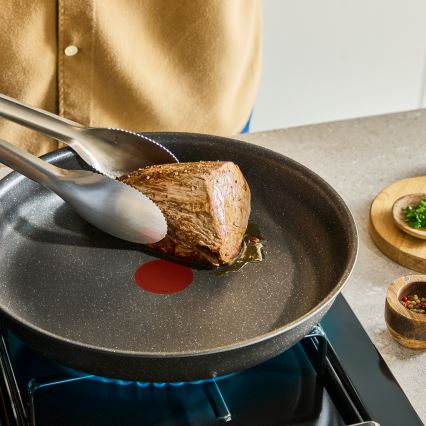 Tefal - INGENIO Expertise køkkengrejsæt, 12 dele