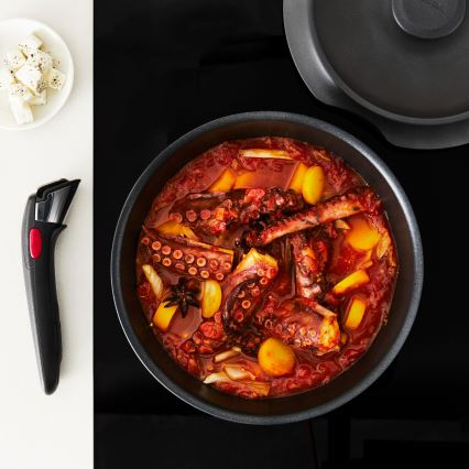 Tefal - INGENIO INSPIRATION 6-delt sæt