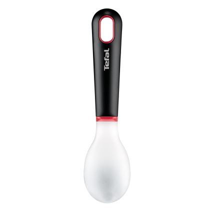 Tefal - INGENIO isske