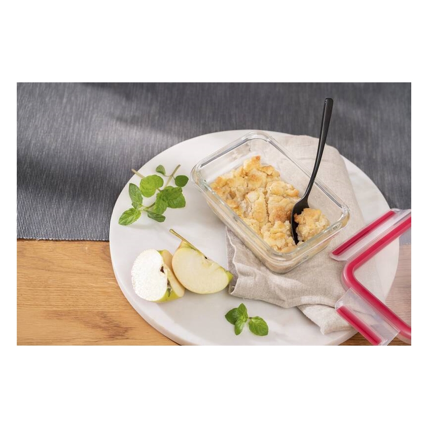 Tefal - Madbeholder 0,45 l MSEAL GLASS rød/glas