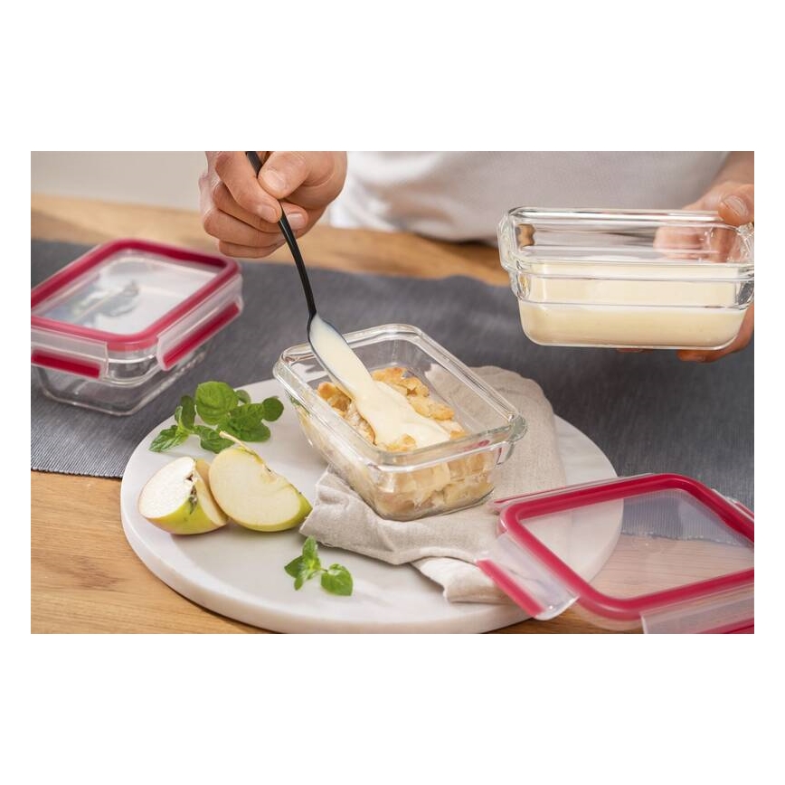 Tefal - Madbeholder 0,45 l MSEAL GLASS rød/glas