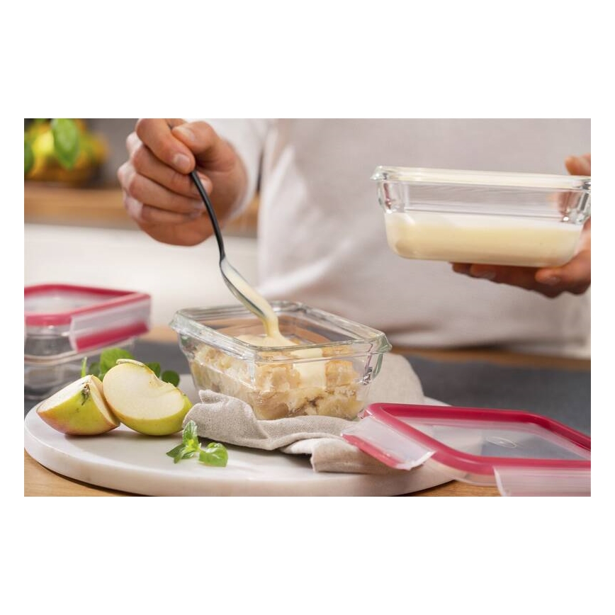 Tefal - Madbeholder 0,45 l MSEAL GLASS rød/glas