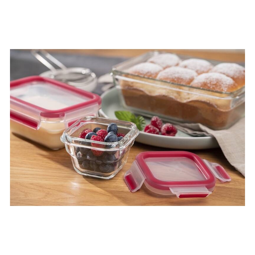 Tefal - Madbeholder 0,45 l MSEAL GLASS rød/glas