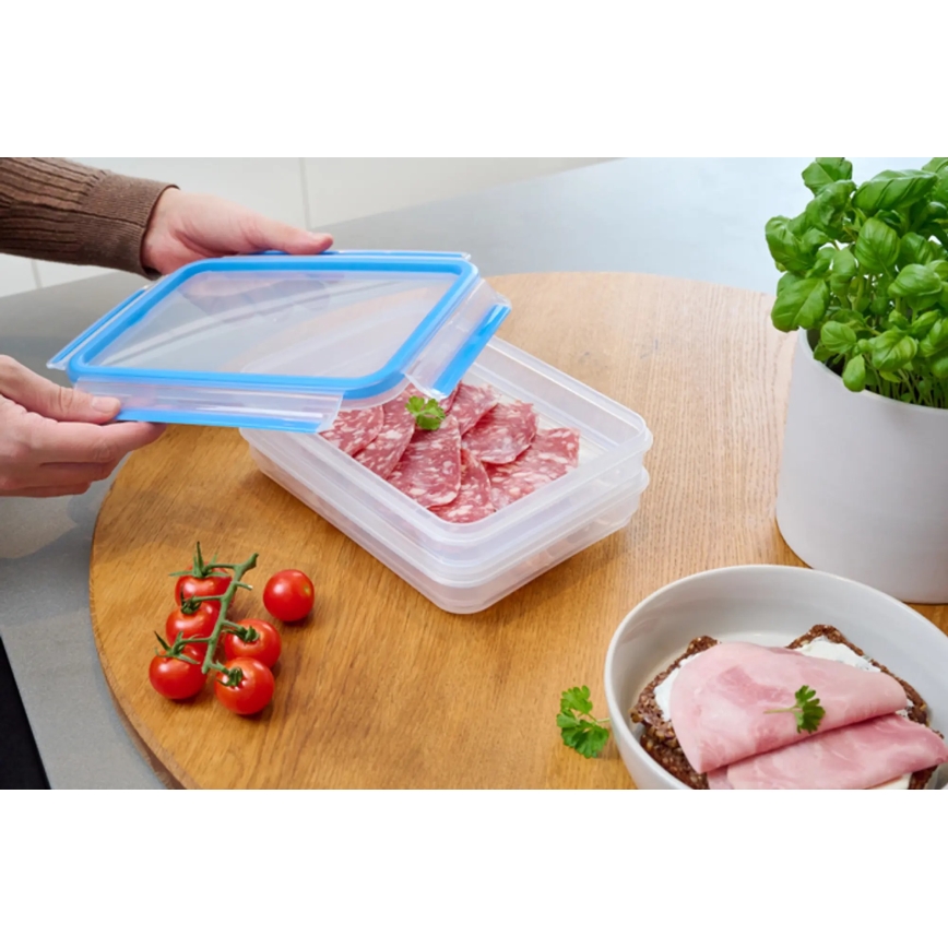 Tefal - Madbeholder 2x0,6 l MASTER SEAL FRESH blå