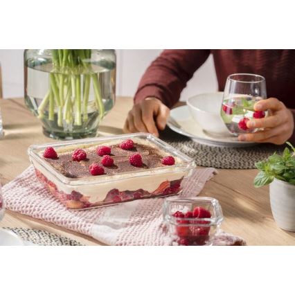 Tefal - Madbeholder til fødevarer 3 l MSEAL GLASS rød/glas